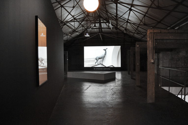 Iorio-Cuomo_Twisted Realism_ARGOS, 2012